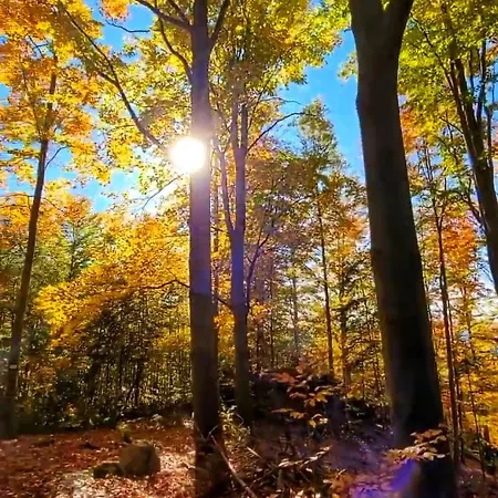 Kolej Na Sudety Casa vacanze Leszczyniec