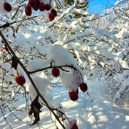 Casa vacanze Kolej Na Sudety