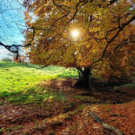 Kolej Na Sudety Leszczyniec