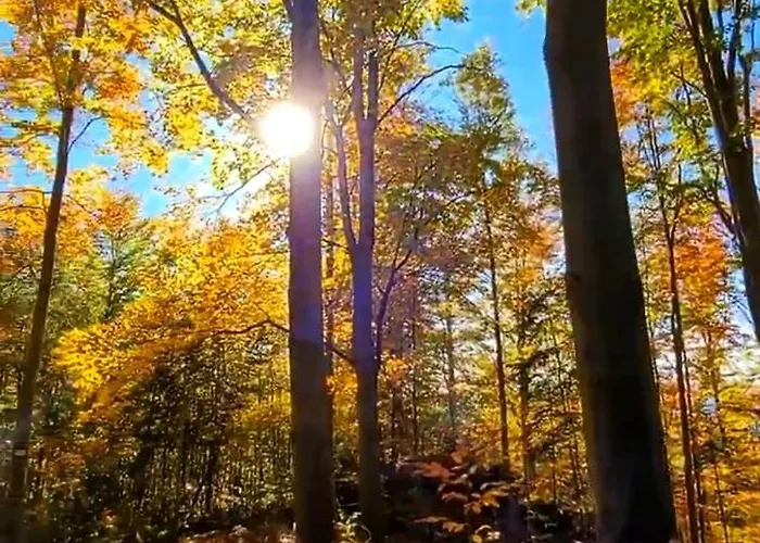 Kolej Na Sudety Casa de Férias Leszczyniec