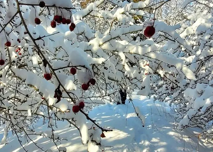 Casa de Férias Kolej Na Sudety *