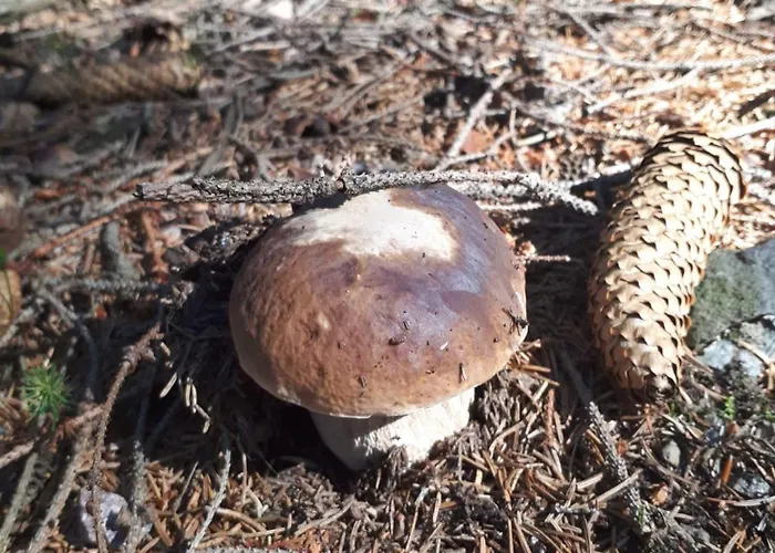 Casa de Férias Kolej Na Sudety Leszczyniec
