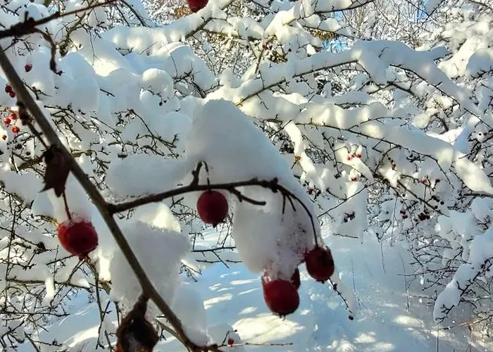 Casa de Férias Kolej Na Sudety
