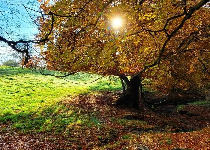 Kolej Na Sudety Leszczyniec